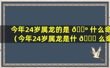 今年24岁属龙的是 🌺 什么命（今年24岁属龙是什 🍀 么命格）